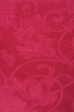 tivoli azalea close